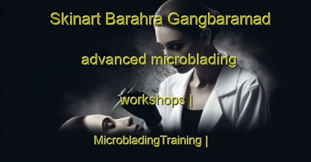 Skinart Barahra Gangbaramad advanced microblading workshops | MicrobladingTraining | MicrobladingClasses | SkinartTraining-India
